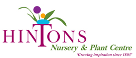 Hintons Nursery
